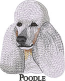 Poodle
