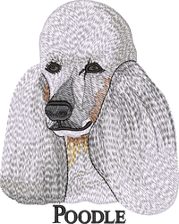Poodle