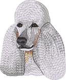 Poodle