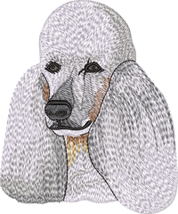 Poodle