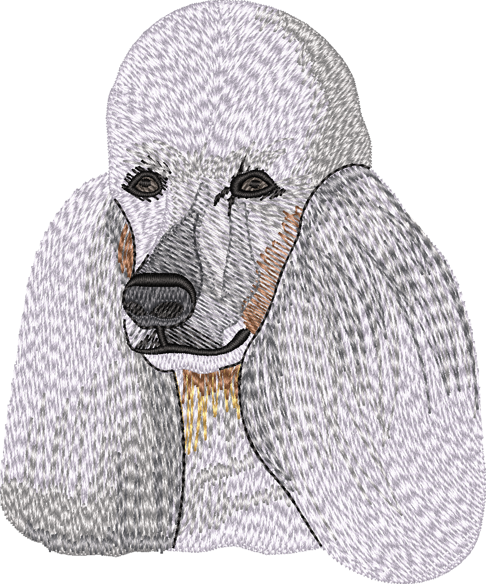 Poodle