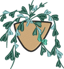 Pothos Plant