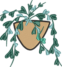 Pothos Plant