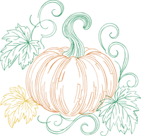 Pumpkin Full Front Runline