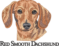 Red Smooth Dachshund