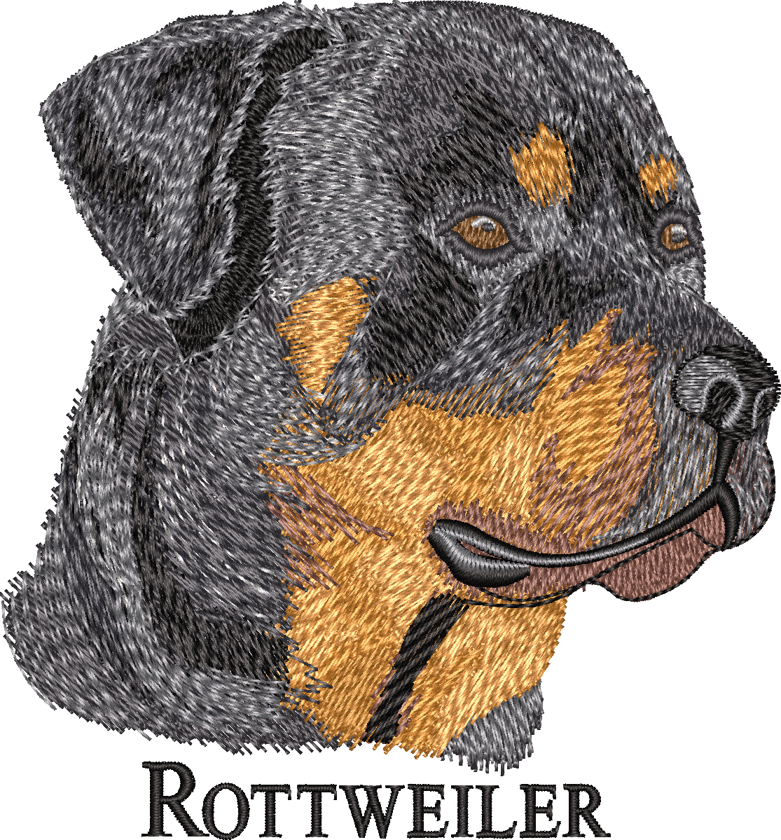 Rottweiler