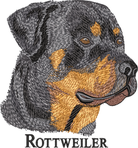 Rottweiler