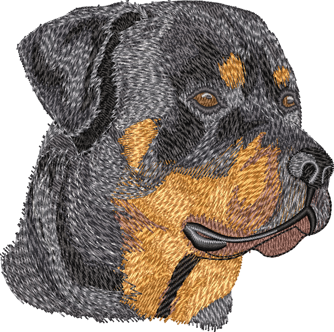 Rottweiler