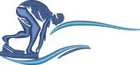 SWIM14 — embroidery design preview
