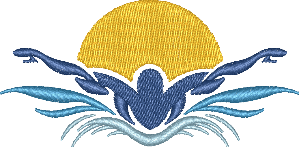 SWIM15