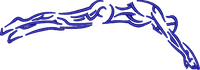 SWIM6 — embroidery design preview