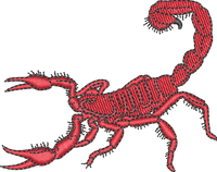 Scorpion