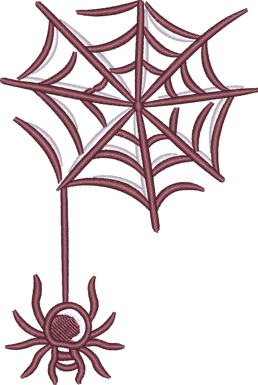 Spider Web