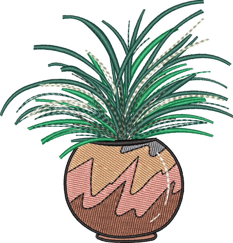 Spider Plant 2