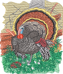 TG4 — embroidery design preview