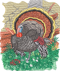 TG4 — embroidery design preview