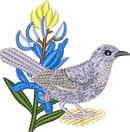 Texas — embroidery design preview