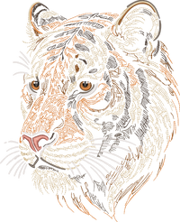 Tiger Head Run