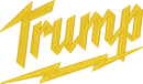 Trump Bolt — embroidery design preview