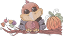 Turkeypumpkin — embroidery design preview