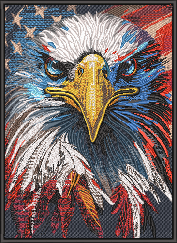USA EAGLE23