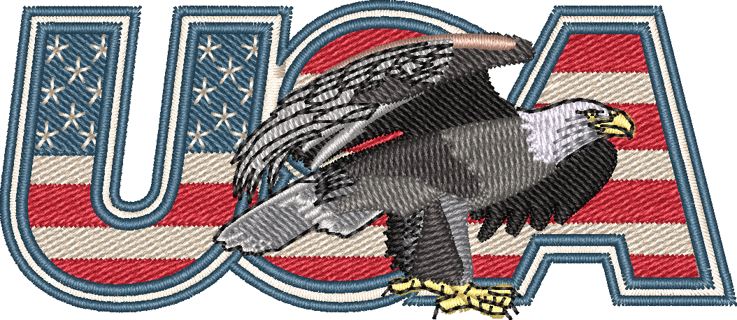 Usa Eagle2