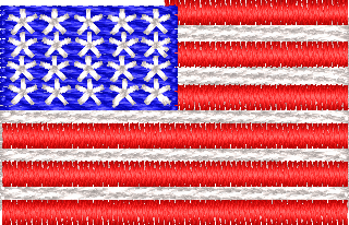 Us Flag19