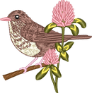 Vermont — embroidery design preview