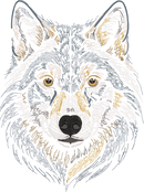 Wolf Head Run