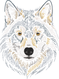 Wolf Head Run