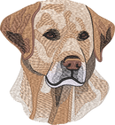 Yellow Labrador No Let — embroidery design preview