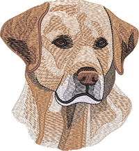 Yellow Labrador No Let — embroidery design preview