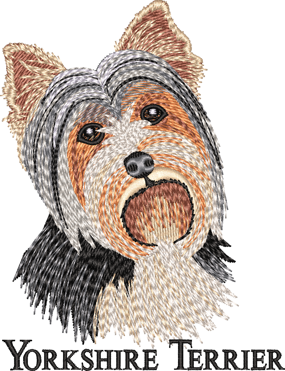 YORKSHIRE TERRIER