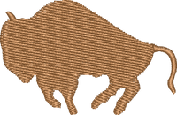 Bison