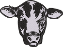 Black Angus