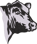 Black Angus2