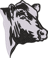Black Angus2