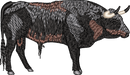 Bull 1