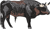 Bull 1