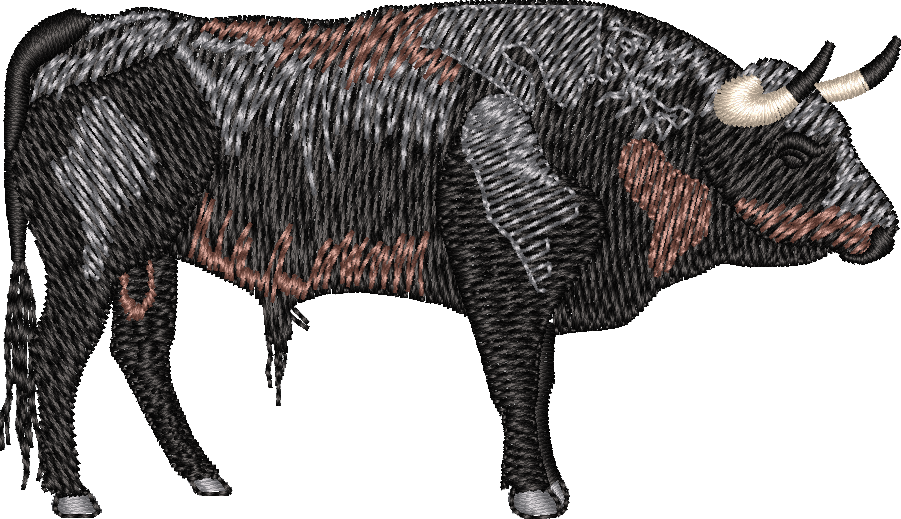 bull-1