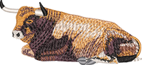 Bull 10
