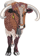Bull 2