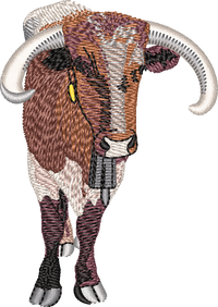 Bull 2