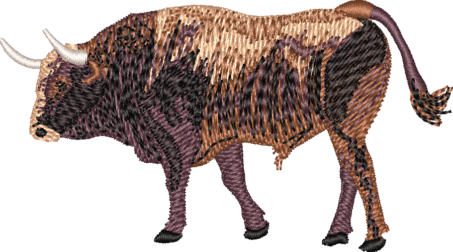 bull-3