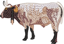 Bull 4