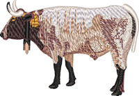 Bull 4