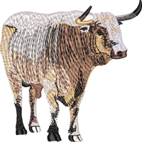 Bull 5