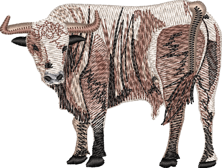 bull-7