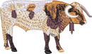 Bull 8