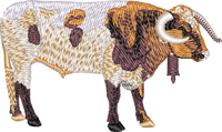 Bull 8